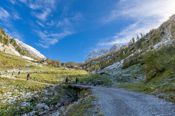 Obraz premium Großer Ahornboden