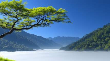 Naklejka premium Verdant tree branches stretch across a foggy mountain landscape with blue skies
