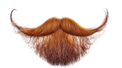 Long red curly ginger mustache and beard with transparent background