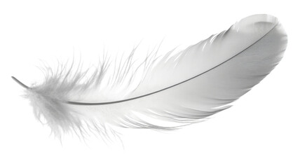 Single white feather floating on transparent background