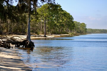 ochlockonee bay shorline Florida