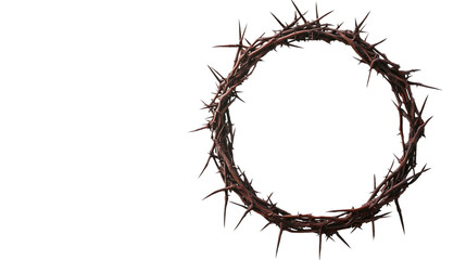 A crown of thorns in the shape of an O isolated on transparent background (4)