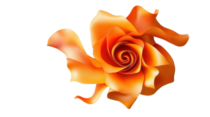 Orange abstract rose blooming with transparent background