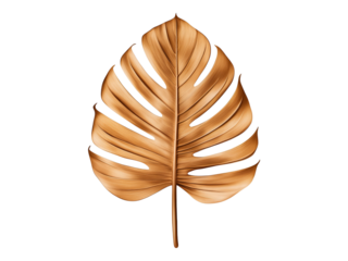 tropical brown dry leaf