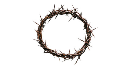 A crown of thorns in the shape of an O isolated on transparent background (2)
