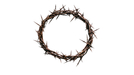 A crown of thorns in the shape of an O isolated on transparent background (2)