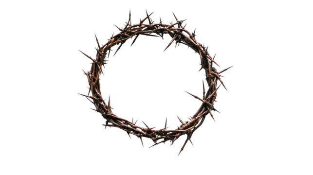 A crown of thorns in the shape of an O isolated on transparent background (2)