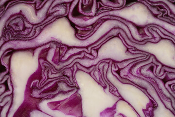 Fototapeta premium A detailed close-up shot of the inner layers of a red cabbage, showcasing its intricate, swirling purple and white patterns