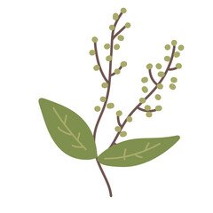 branch with green leaves