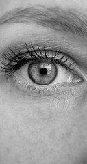 close up of a human eye