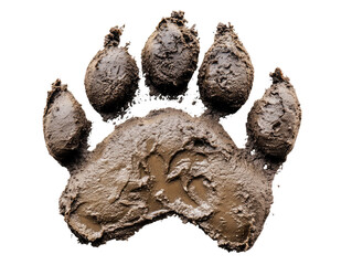 Detailed Close-up of a Paw Print in Mud Isolated on Transparent background for Nature and Wildlife Illustrations