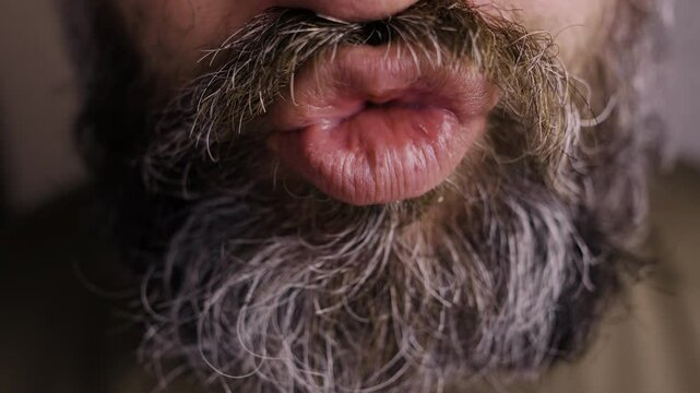 close-up of funny bearded mustache man pouting his lips, blowing kiss, feeling love