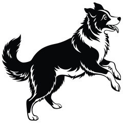 border collie dog jumping on side view position vector