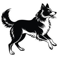 border collie dog jumping on side view position vector
