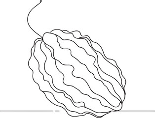 Line Art of Chayote Vector Illustration for Nature Lovers