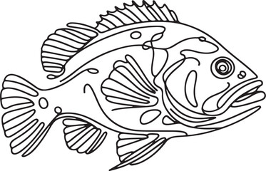 Simple Line Drawing of Grouper Fish Vector