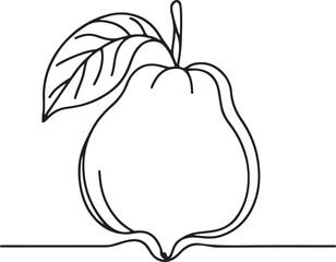 Guava Line Drawing Vector Illustration