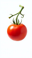 isolated tomato single branch stark white