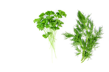 Fresh greenery: bunches of dill and parsley on a white background. The concept of healthy eating,...