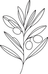 Olive Branch Line Art Vector Illustration