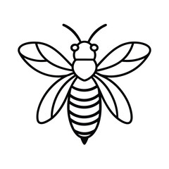 Fototapeta premium vector illustration of a honey bee