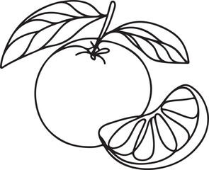 Tangerine Fruit Line Drawing - Simple and Clean Vector Artwork