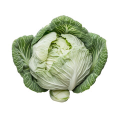 Fototapeta premium Fresh green cabbage on a transparent background showcasing its vibrant leaves and crisp texture, Cabbage vegetable food ingridient transparent background
