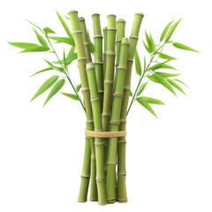 Fototapeta premium Bamboo bunch with green leaves isolated against a transparent background for decorative purposes, bamboo bunch with green leaves, file of isolated object on transparent background