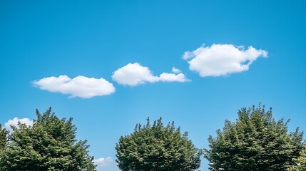 Gentle scenery capturing cumulus clouds drift above serene green trees
