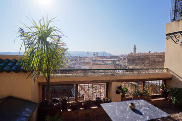 A rooftop view of a cityscape with pink buildings and palm trees under a clear blue sky.