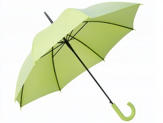 Ingeniously Designed Biodegradable Umbrella for Eco-Friendly Use