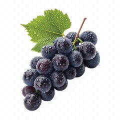 abstract 3d fresh organic  grapes cluster with water droplets and green leaf isolated on pure white background 