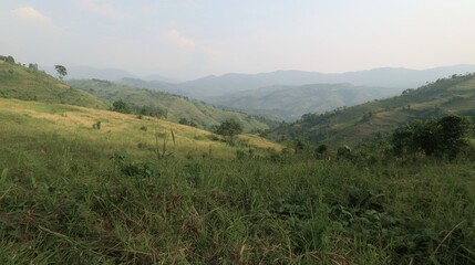 Fototapeta premium Mountain valley vista, grassy hillside, hazy backdrop