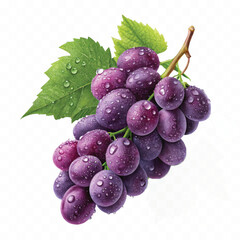 abstract 3d fresh organic  grapes cluster with water droplets and green leaf isolated on pure white background 