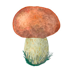 Autumn brown mushroom close-up.
