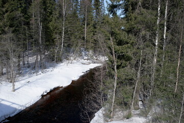 forest river in early spring on a sunny day
