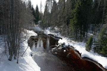 forest river in early spring on a sunny day