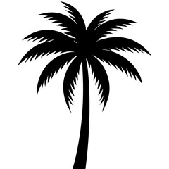 palm tree silhouette