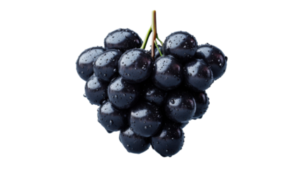 Fresh bunch of black grapes covered with water droplets on transparent background