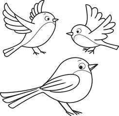 Outline Drawing of Two Birds with Leaf on White Background