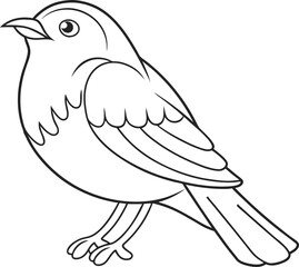 Outline Drawing of Two Birds with Leaf on White Background