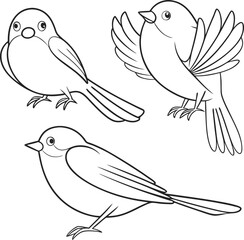Outline Drawing of Two Birds with Leaf on White Background