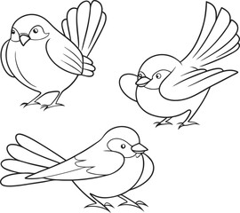 Outline Drawing of Two Birds with Leaf on White Background