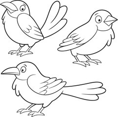 Outline Drawing of Two Birds with Leaf on White Background