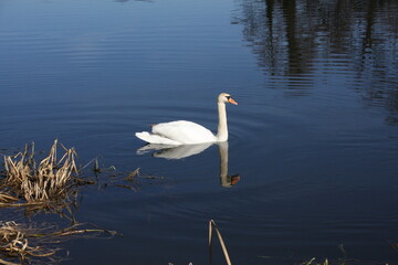 kallmünz perle des naabtals