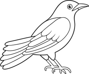 Outline Drawing of Two Birds with Leaf on White Background