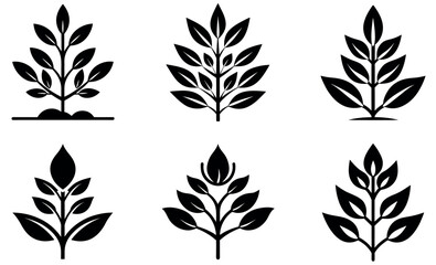 Six stylized black and white plant icons on a white background