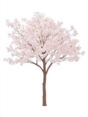 Obraz premium Delicate Cherry Blossom Tree with Pink Flowers and Branches