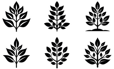 Fototapeta premium Set of stylized black and white tree and plant icons