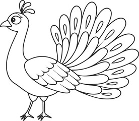 Outline Illustration of a Peacock with Spread Feathers for Coloring Pages